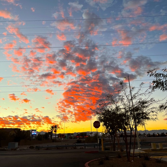 Meet your Posher, Samantha - Picture 1 of 1